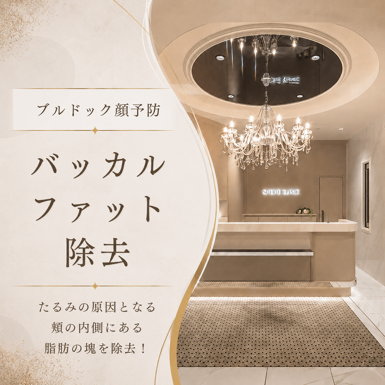 シェリークリニック渋谷院