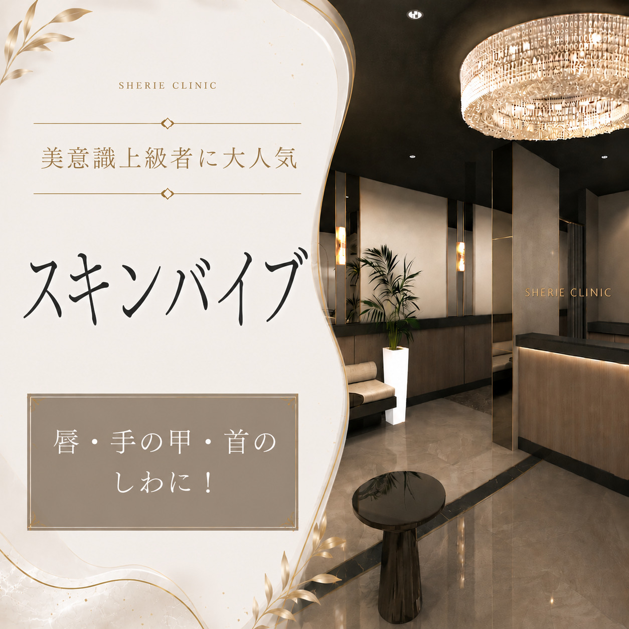 美意識上級者に大人気🫧スキンバイブ